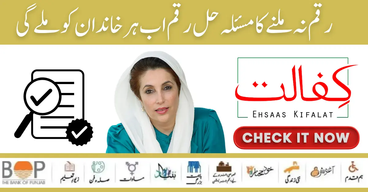 Benazir Kafaalat 8171 Payment Issue Solve For Ineligible Person 2024