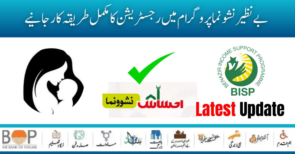 Good News! How To Register in Benazir Nashonuma Program 