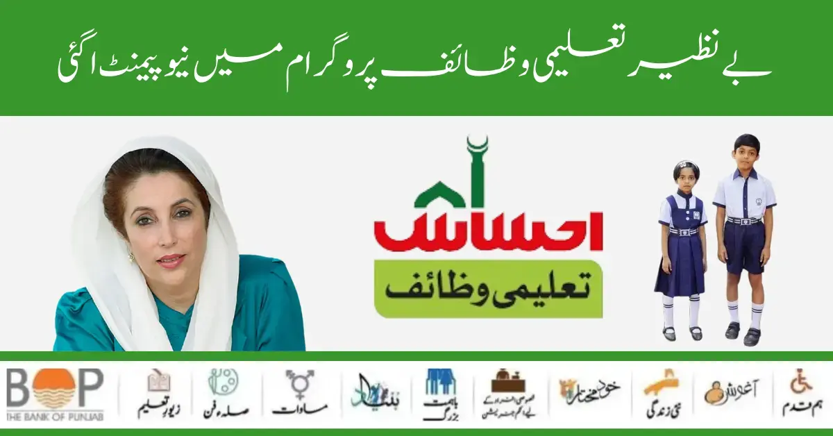 Benazir Taleemi Wazifa New Payment 4500 Check By 8171 Web Portal Online