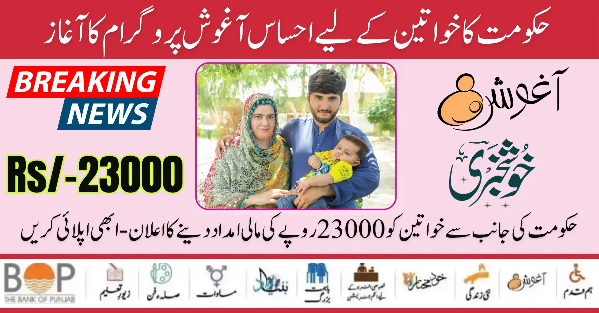 Government Of Punjab Launch Ehsaas Aagosh Program New Payment 23000 Start For Women