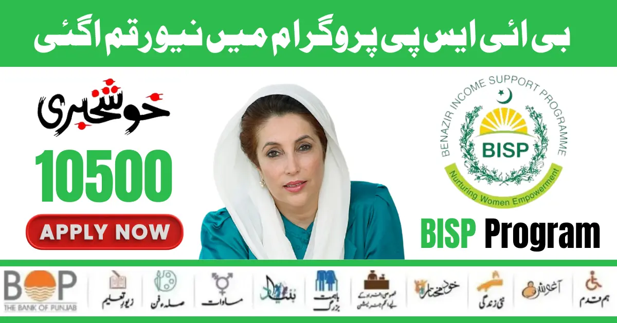 8171 BISP GOV Pk Online Registration and Status Check 10500