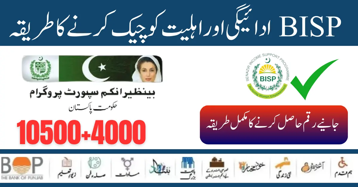 8171 Message Procedure To Check BISP Payment and Eligibility 