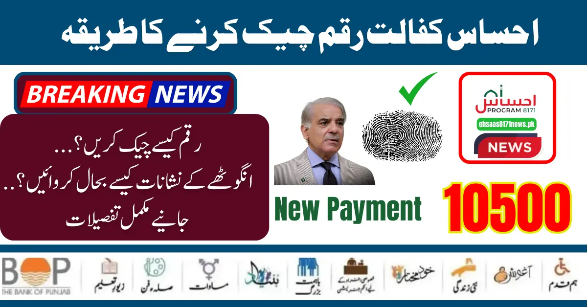 8171 Ehsaas Programme Kafaalat Payment Check Online and Get Through BISP 