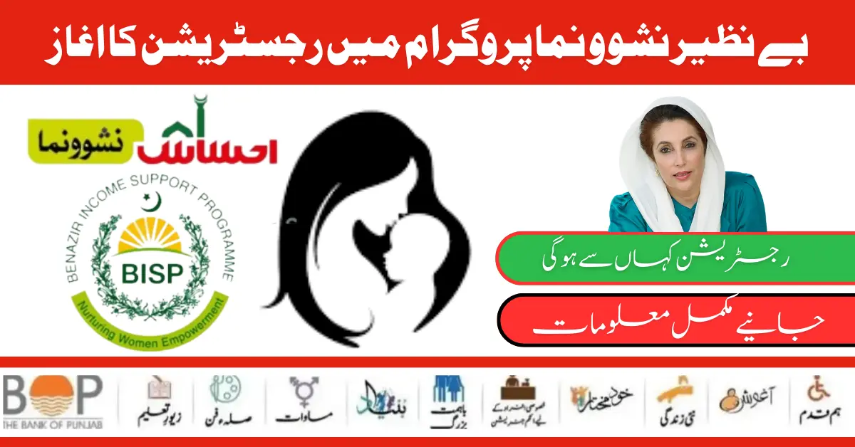 Benazir Nashonuma Program