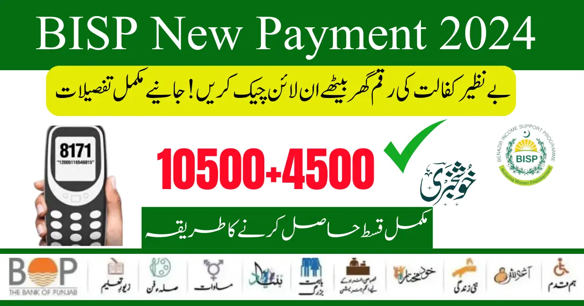 8171 Payment Check BISP Online By CNIC Verification Procedure 